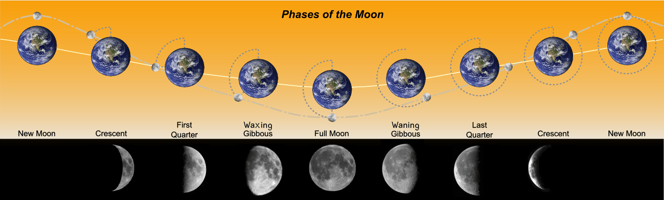 Phases_of_the_Moon.png